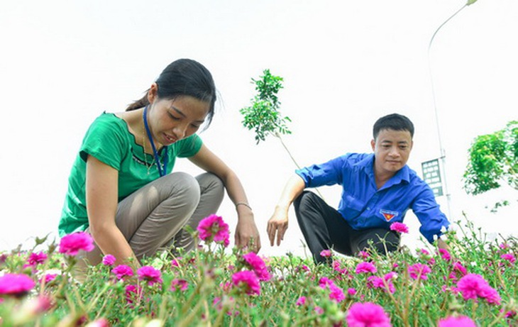 Chung tay vì những đường hoa.