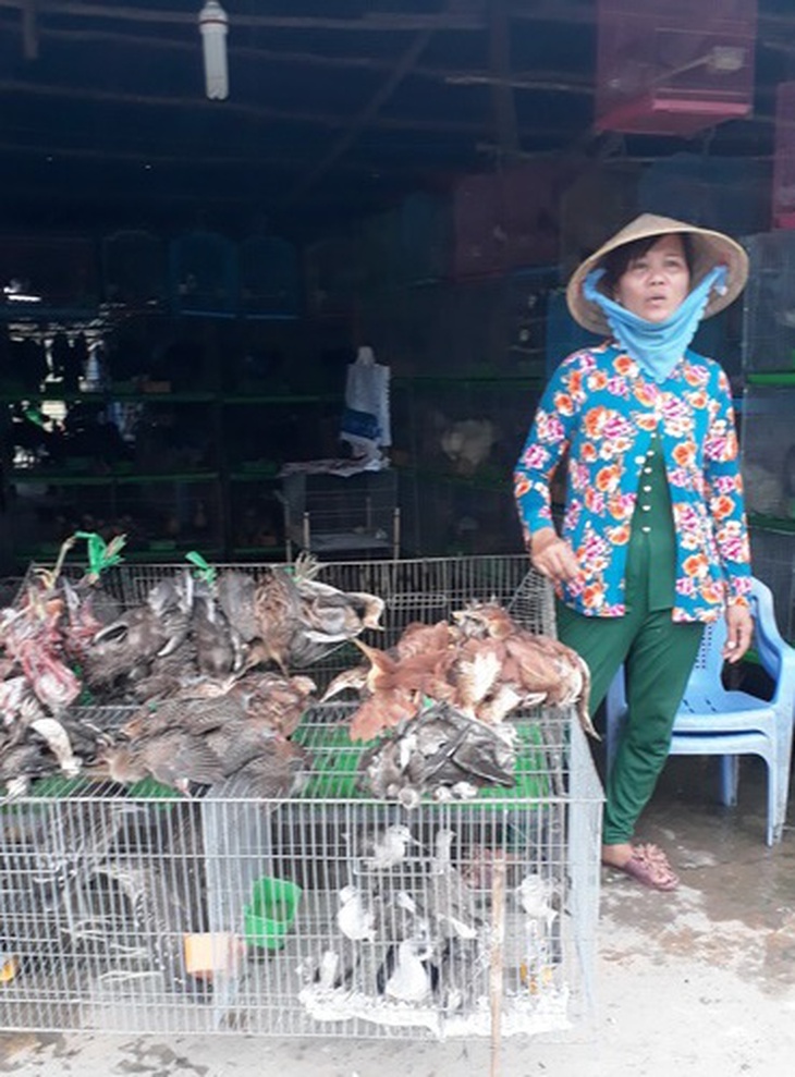 Chim trời được bày bán công khai ở chợ Thạnh Hóa.