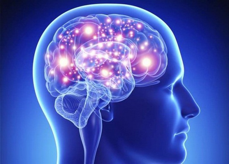 Còn rất nhiều điều bí ẩn về não người và các tế bào thần kinh mà chúng ta chưa khám phá hết được.