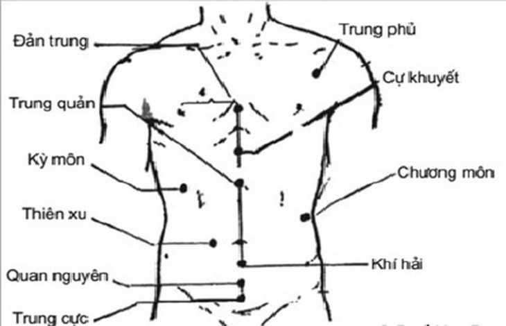 Vị trí các huyệt.