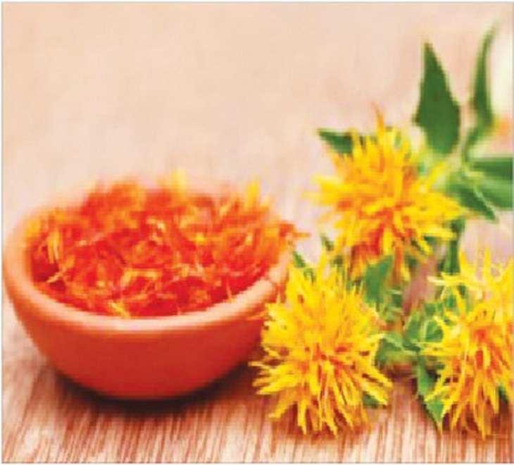 Hồng hoa (hoa khô của cây hồng hoa) trị rối loạn kinh nguyệt do hàn ngưng khí trệ, huyết ứ.