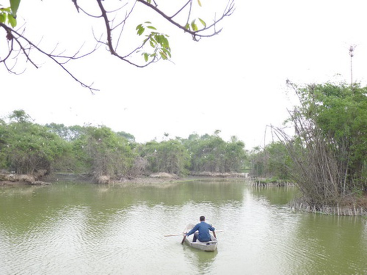 Cán bộ thôn thăm vườn cò Đông Xuyên (Bắc Ninh).
