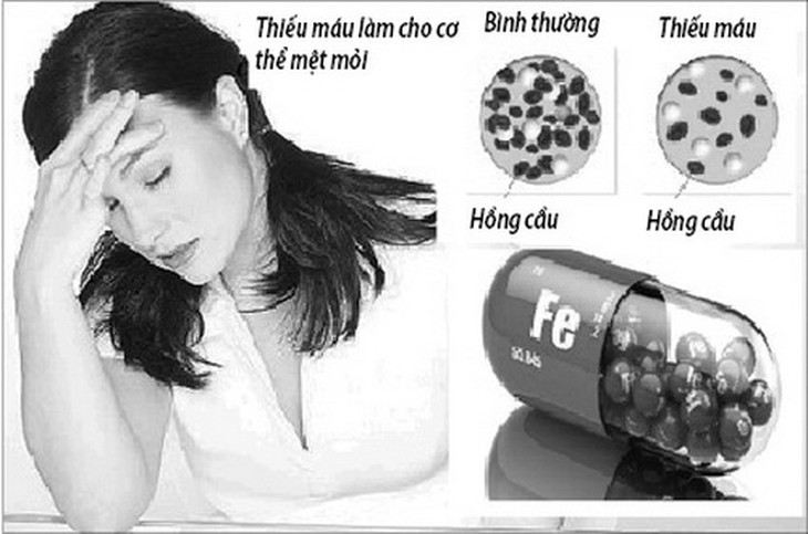 Bổ sung sắt trong các trường hợp thiếu máu, thiếu sắt.