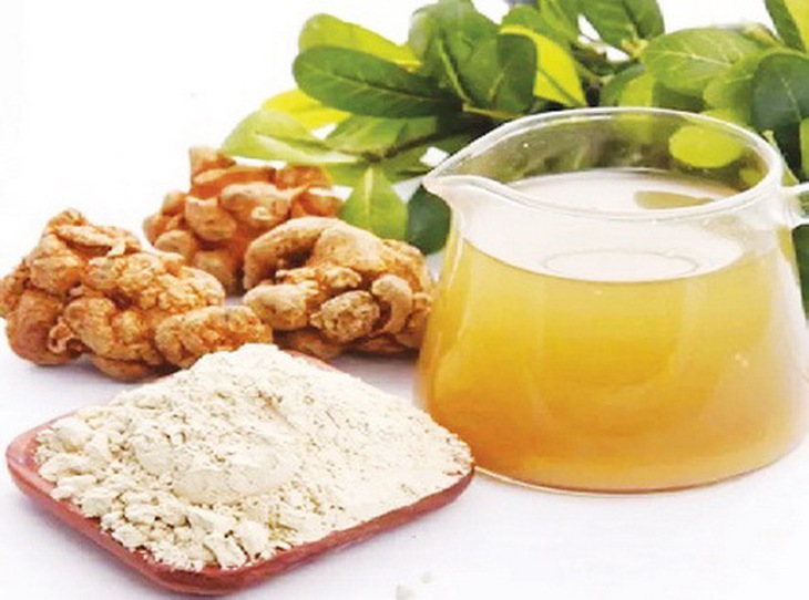 Tam thất bột sắc cách thủy trị sốt xuất huyết.