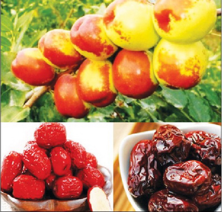 Đại táo tác dụng bổ khí kiện tỳ, hoà vị sinh tân dịch. Trị tỳ vị hư nhược, khí huyết hư,…