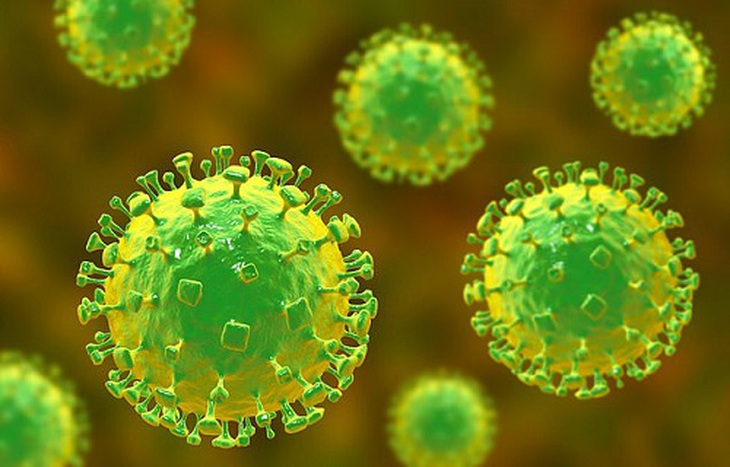Virut Nipah có thể gây ra các ca nhiễm trùng phổi như viêm phổi, gây co giật, hôn mê và viêm não do nhiễm trùng não.