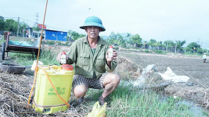 Không phun thì khó có năng suất cao.