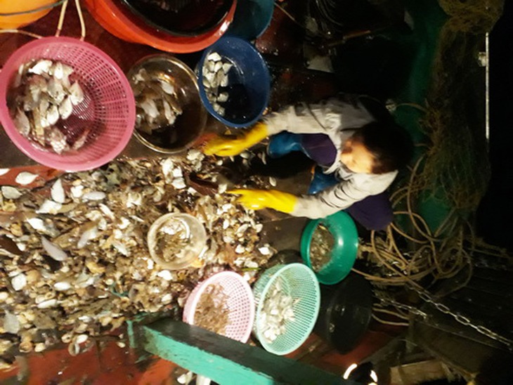 Giờ giã cào vét dưới đáy biển ven bờ huyện Vân Đồn (Quảng Ninh), đa số thu được cá tạp nhỏ xíu.