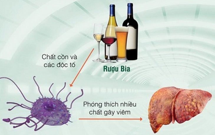 Thức uống chứa cồn rất độc hại cho cơ thể.