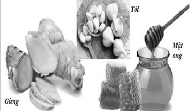 Một số thuốc kháng sinh tự nhiên.