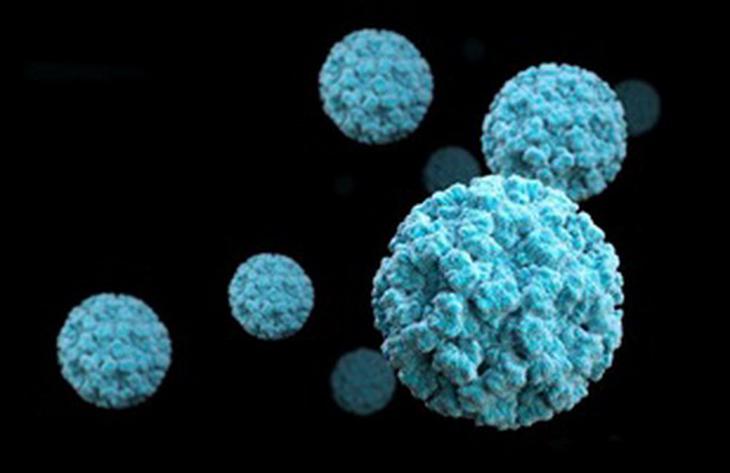 Norovirus, tác nhân gây bệnh có khả năng lây nhiễm cao.