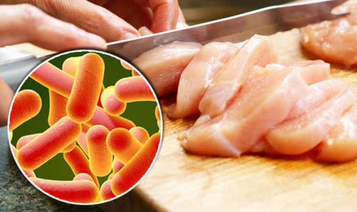Vi khuẩn Salmonella có thể tồn tại trong nước đá vài tháng và ở nhiều thực phẩm.