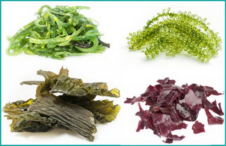 Rong biển chứa nhiều betacaroten và azexanthine rất cần thiết để chống các tác nhân oxy hóa hủy hoại mô võng mạc và thần kinh của mắt.