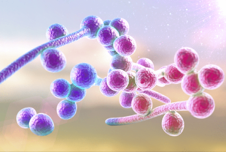 Biểu hiện khi nhiễm nấm Candida