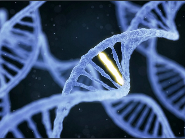 Các nhà khoa học tìm ra các tác động mới của gene tới sức khỏe và bệnh tật.
