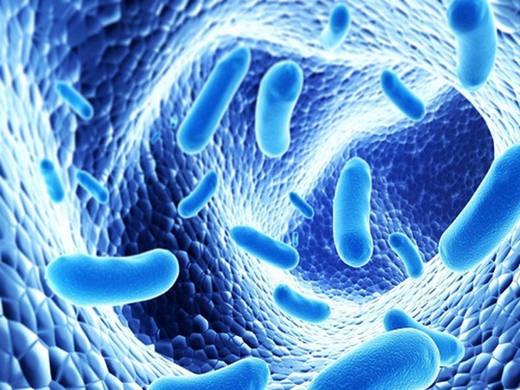 Bổ sung probiotics có nhiều lợi ích cho sức khỏe, không chỉ với hệ tiêu hóa.