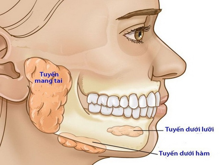 Viêm nhiễm vùng hàm mặt chiếm tỷ lệ cao trong các bệnh hàm mặt.