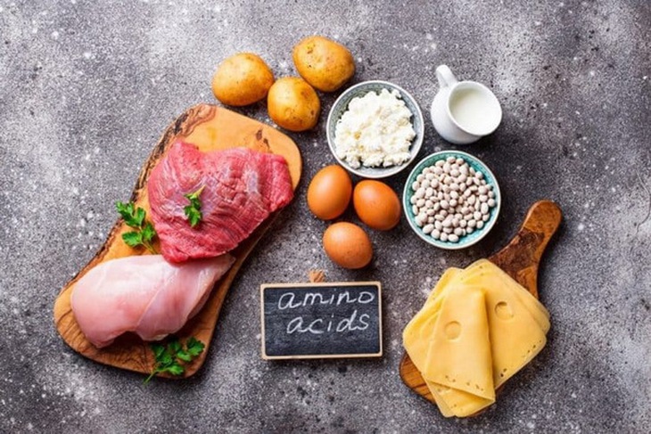 Axit amin từ lâu đã được khám phá với nhiều vai trò và chức năng sinh lý đối với cơ thể.