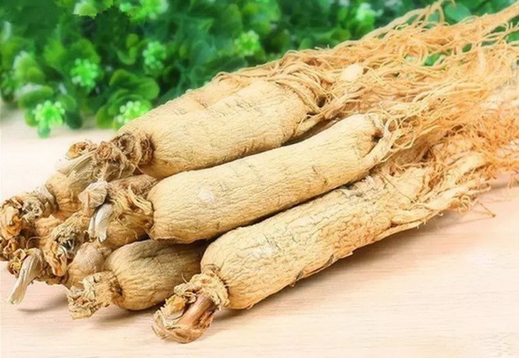 Tây dương sâm là vị thuốc trị thử ôn khi thử tà làm tổn thương tân dịch và khí.