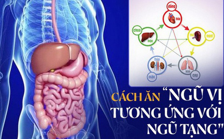 Ăn uống thế nào để điều hòa ngũ tạng được đông y rất coi trọng.