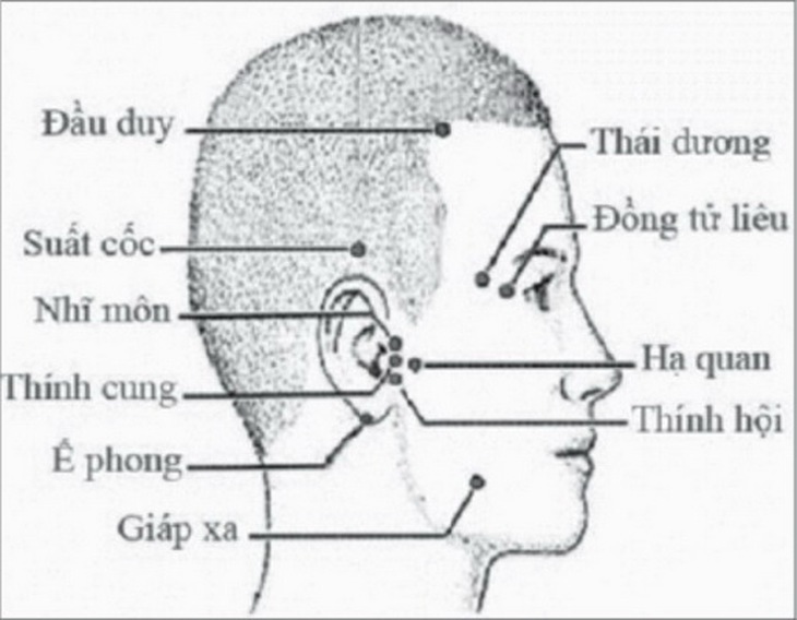 Vị trí các huyệt.
