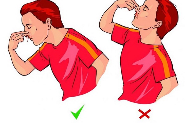 Long nhãn giúp chữa chảy máu cam.
