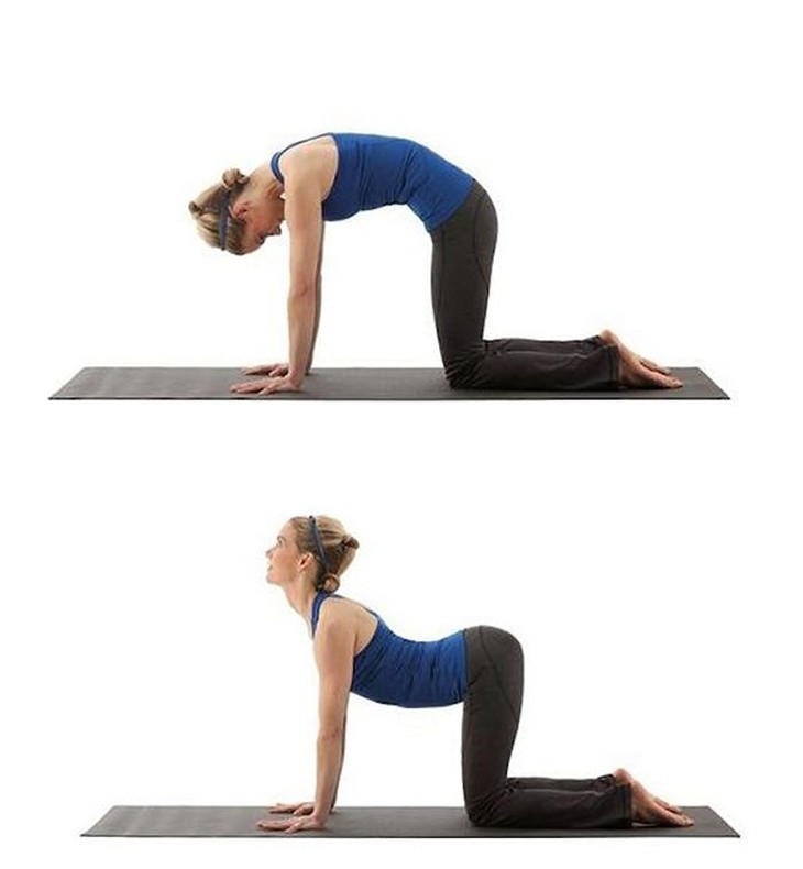 Tư thế cat stretch tăng chiều cao.