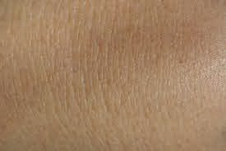 Da điện tử có thể cảm nhận nhiệt độ và kích thích cơ học