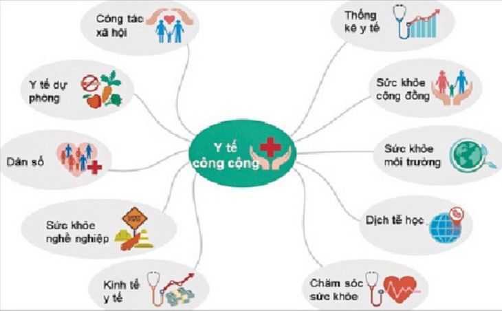 Y tế công cộng và các lĩnh vực chuyên sâu.