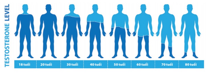 Sơ đồ suy giảm testosterone theo từng độ tuổi.