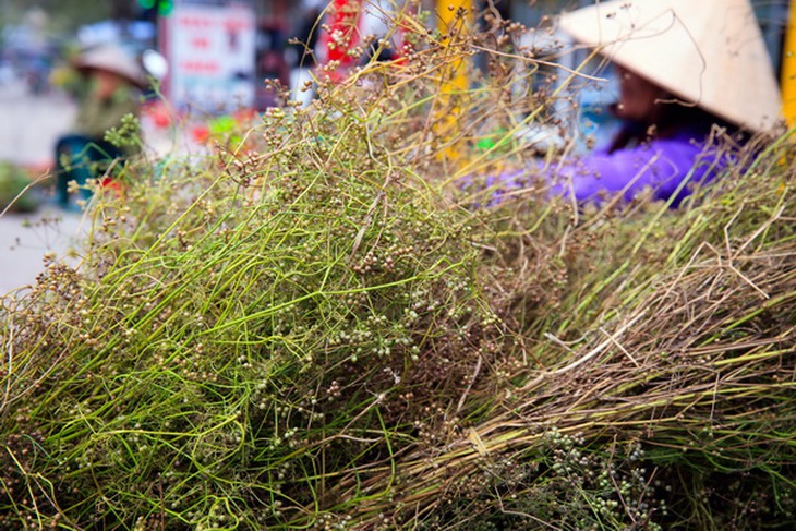 Chợ Tết còn phảng phất hương hoa mùi già.