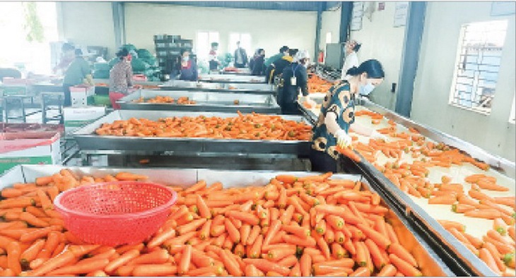95% doanh nghiệp của Hải Dương đã trở lại hoạt động trong điều kiện đảm bảo công tác phòng dịch.