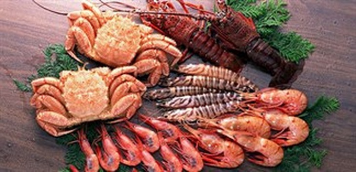 Người có cơ địa dị ứng nên thận trọng khi ăn hải sản.
