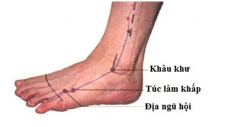 Day bấm huyệt túc lâm khấp giúp hạ huyết áp, dưỡng thận, giảm đau khớp.