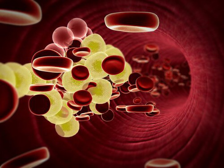dau o liu va nuoc cot chanh kiem soat cholesterol xau