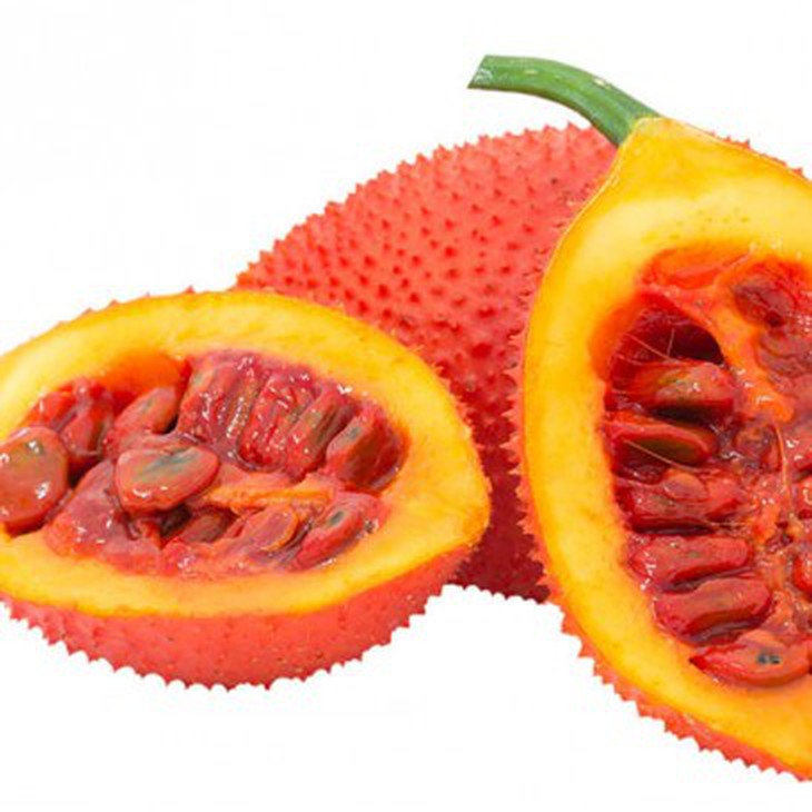 gấc bổ gan