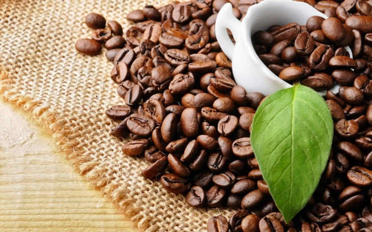 Caffeine có thể cải thiện trí nhớ