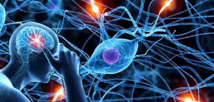 Phát hiện rối loạn thoái hóa thần kinh mới