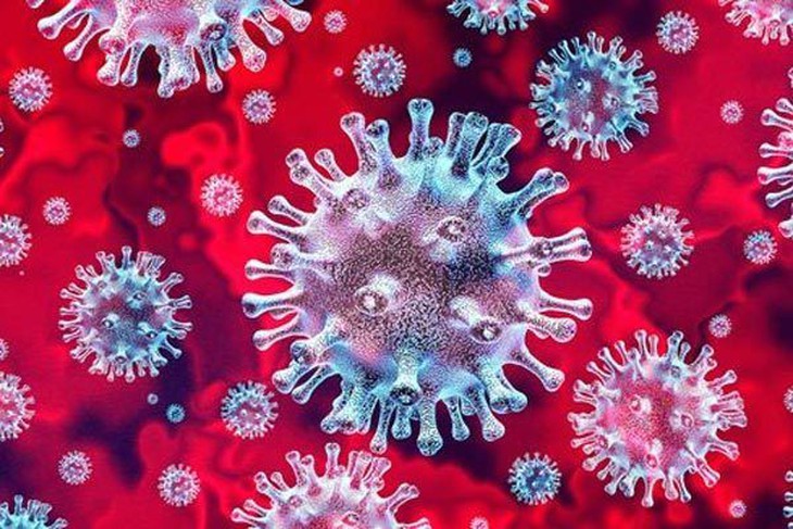 SARS-CoV-2 không lây truyền qua thực phẩm
