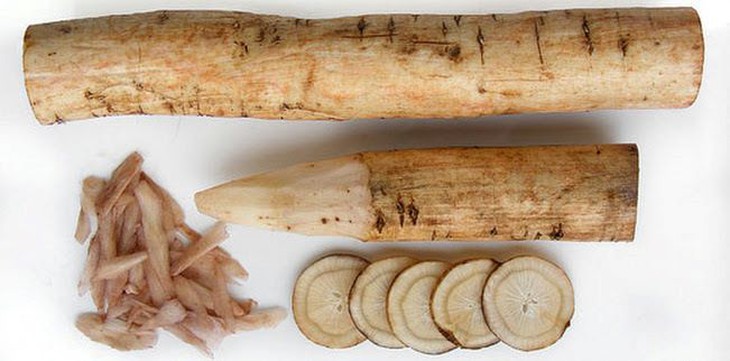 Củ ngưu báng tươi