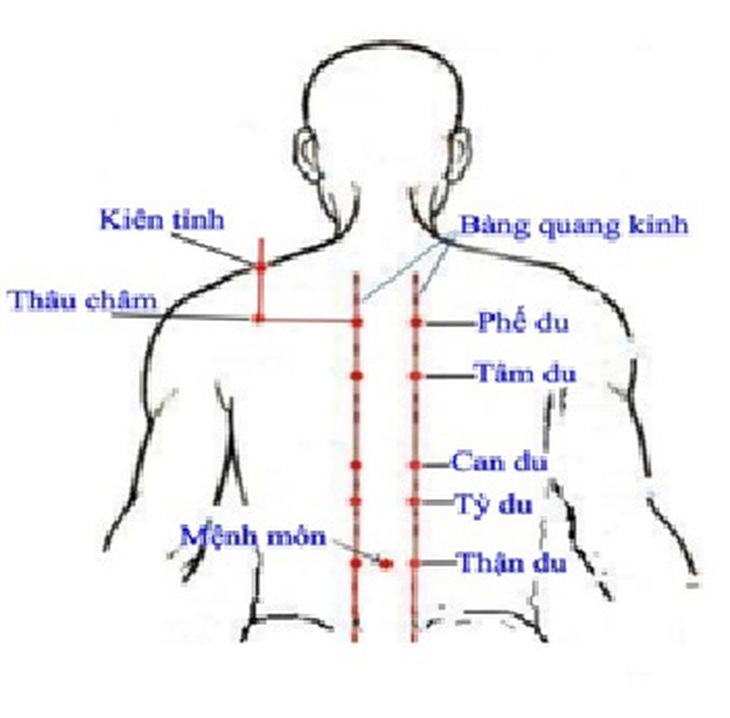 Cách xác định huyệt thâu châm.