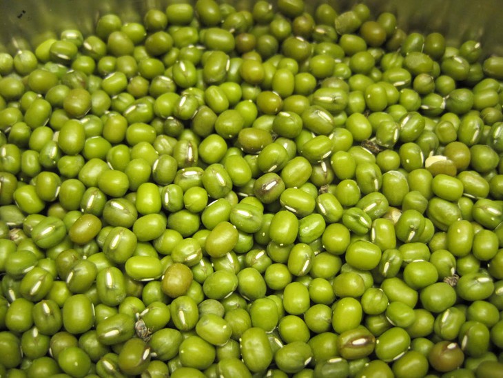 bài thuốc cho người viêm tuỵ