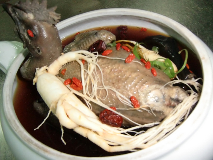 gà tiềm sâm