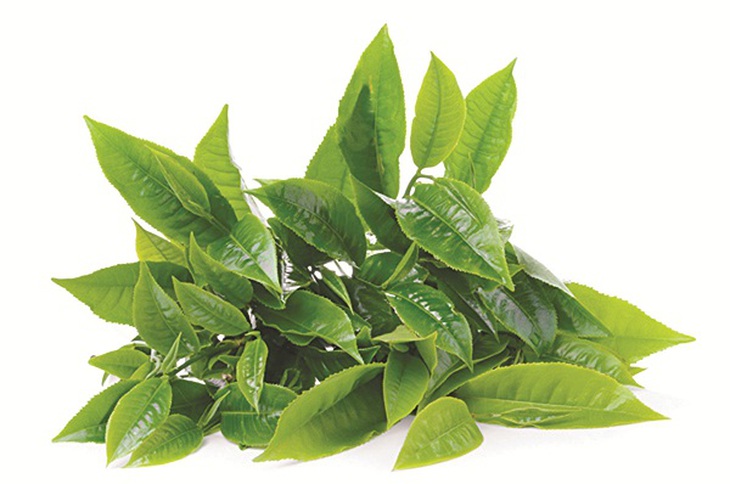 trà xanh làm đẹp