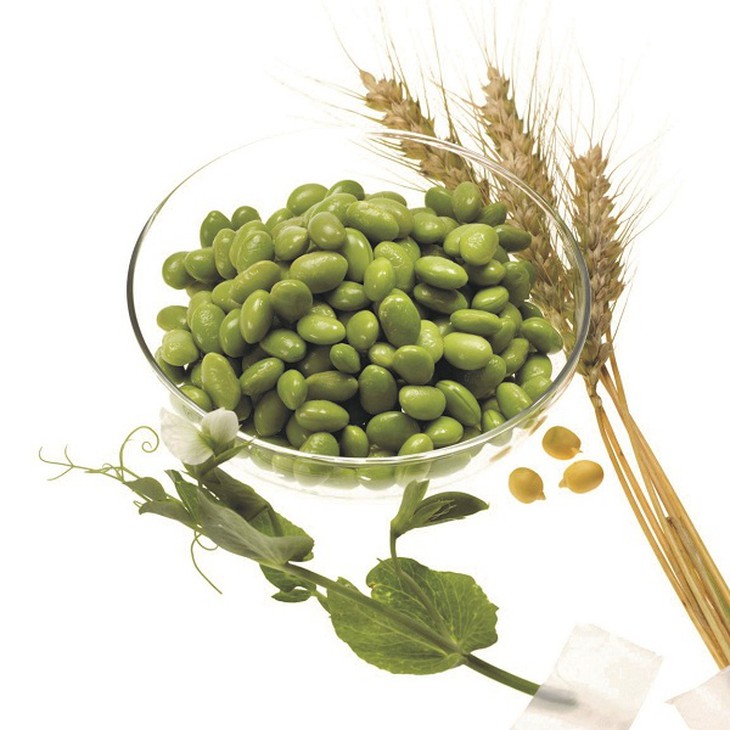 nutrilite-2