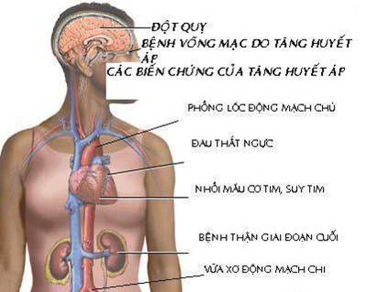 ngan ngua dot quy - tuan thu nhung quy tac vang
