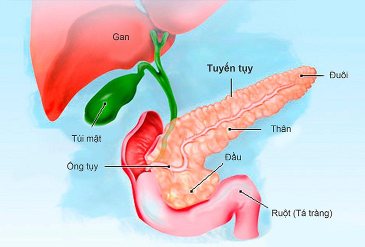 tuy nhan tao