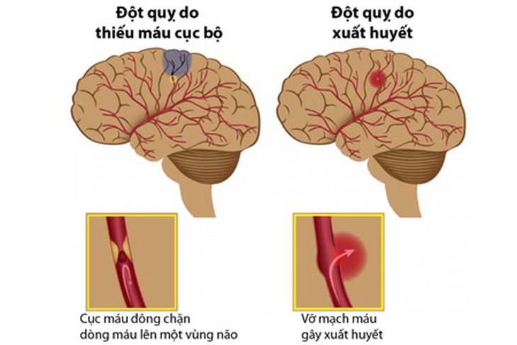 dot quy