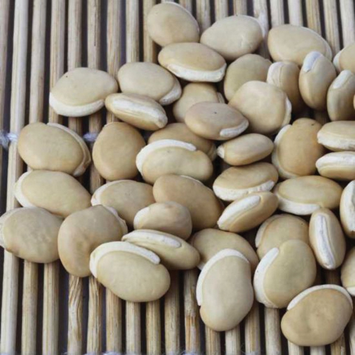 Đậu ván trắng