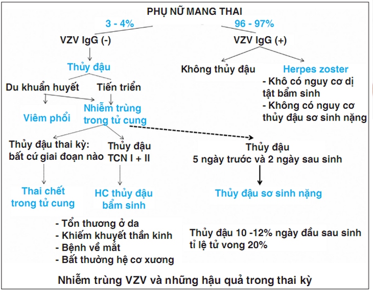 Thủy đậu trong thai kỳ